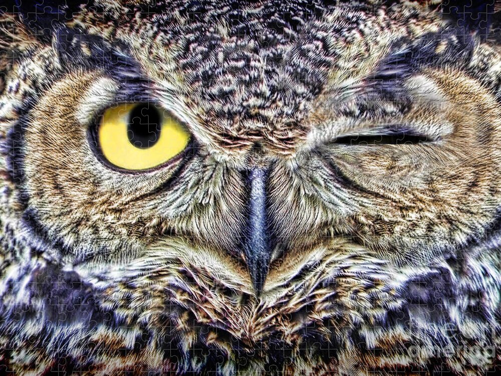 Owl Jigsaw Puzzle featuring the photograph Owl Winking by Mike Agliolo