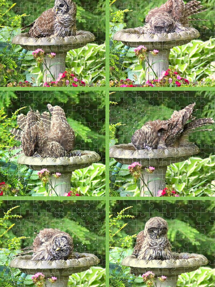 Owl Jigsaw Puzzle featuring the photograph Owls Do Take Baths Vertical by Jennie Marie Schell