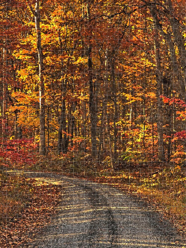 Autumn Jigsaw Puzzle featuring the photograph Painted Autumn Country Roads by Lara Ellis