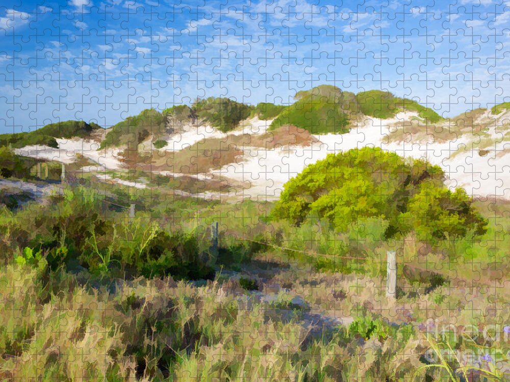 Amelia Island Jigsaw Puzzle featuring the photograph Paintography of NaNa Dunes American Beach Florida by Dawna Moore Photography
