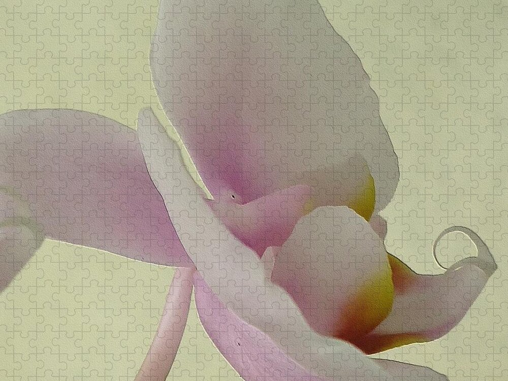 Flower Jigsaw Puzzle featuring the photograph Pale Orchid on Cream by Barbie Corbett-Newmin