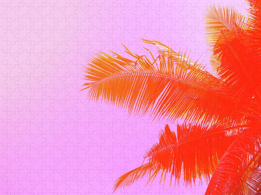 Palm Tree On Sky Background Palm Leaf Puzzle For Sale By Slavadubrovin