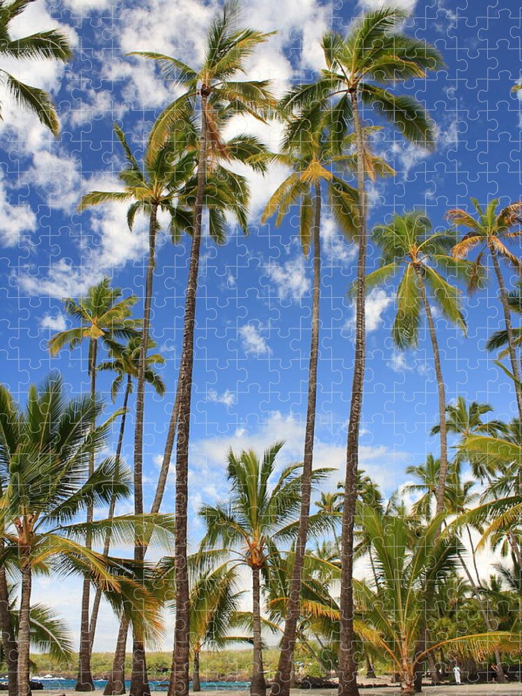 Palm Trees Jigsaw Puzzle featuring the photograph Palm Trees at Pu'uhonua o Honaunau NHP by Scott Rackers