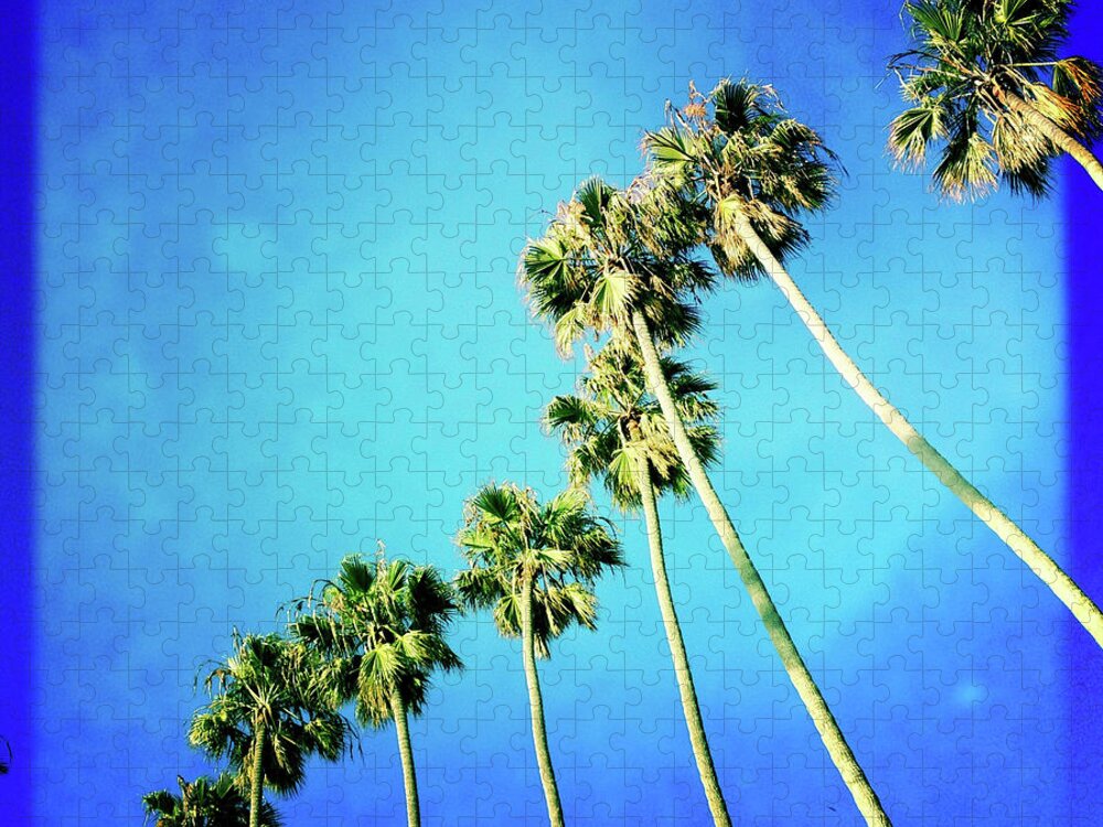 Tranquility Jigsaw Puzzle featuring the photograph Palm Trees by Denise Taylor