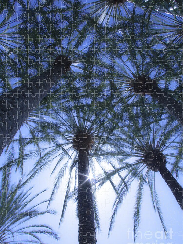 Palm Trees Jigsaw Puzzle featuring the photograph Palm Trees in The Sun by Jerry Cowart