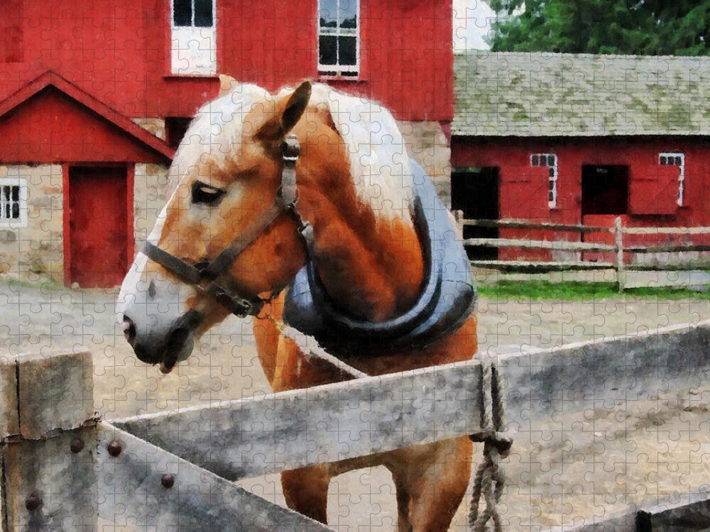 Horse Jigsaw Puzzle featuring the photograph Palomino By Red Barn by Susan Savad