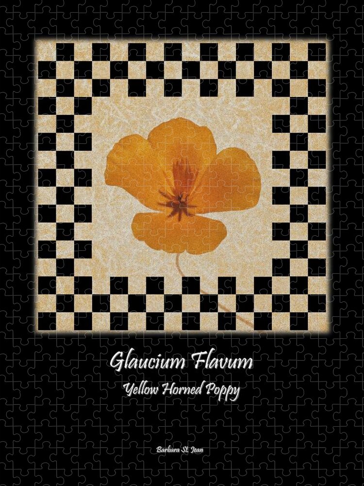 Checkerboard Jigsaw Puzzle featuring the digital art Papveraceae Poppy Poster 1 by Barbara St Jean