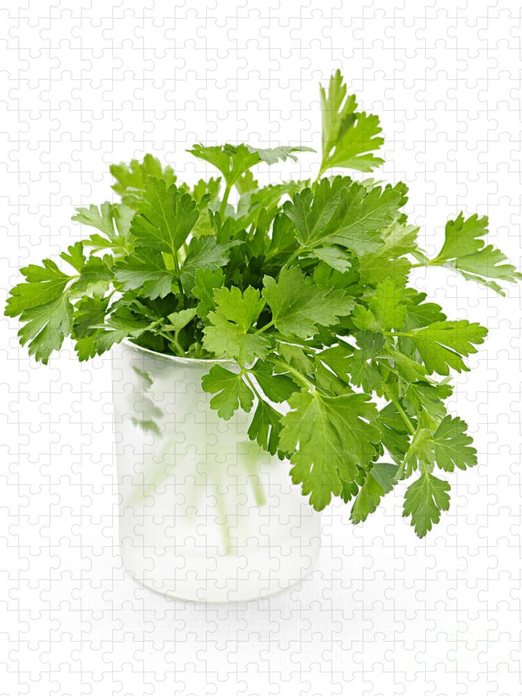 Parsley Jigsaw Puzzle featuring the photograph Parsley on white by Elena Elisseeva