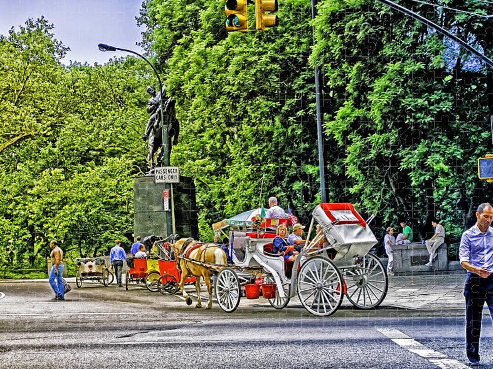 Sign Jigsaw Puzzle featuring the photograph Passenger Cars Only - Central Park by Madeline Ellis