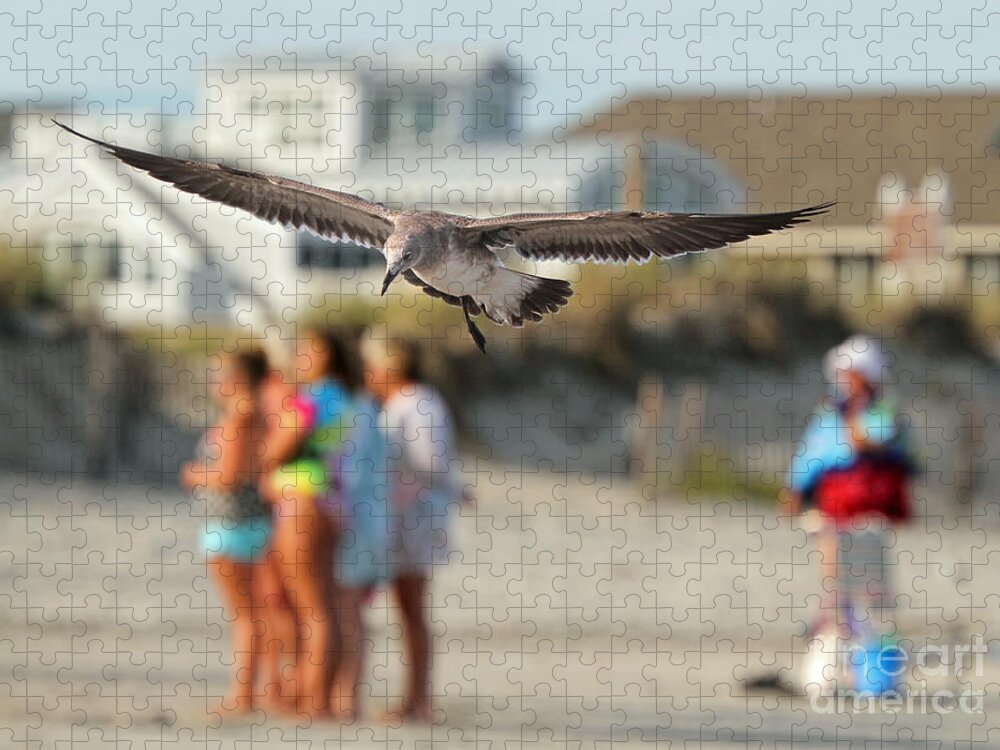 Seagulls Jigsaw Puzzle featuring the photograph Look Out Below by Geoff Crego