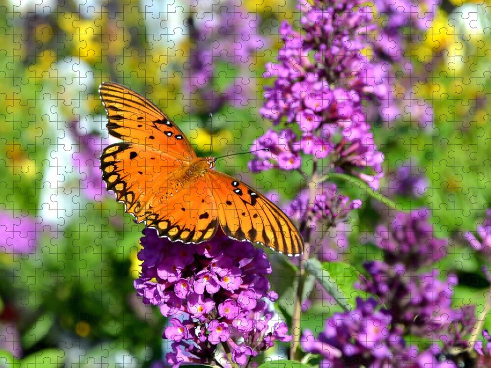 Butterfly Jigsaw Puzzle featuring the photograph Passion Butterfly by Deena Stoddard