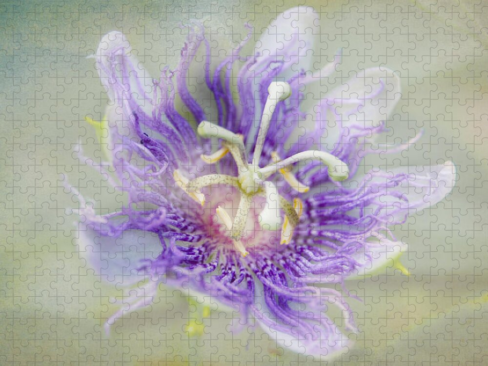 Passion Flower Jigsaw Puzzle featuring the photograph Passion Flower by Judy Hall-Folde