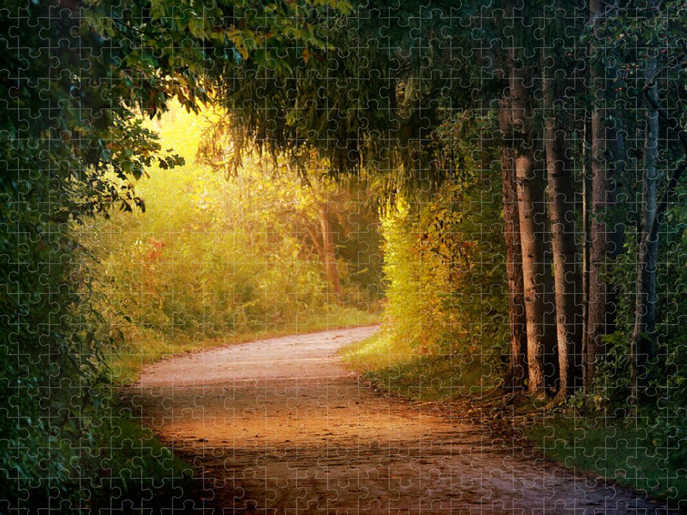 Trail Jigsaw Puzzle featuring the photograph Path to Enlightenment by Rob Blair