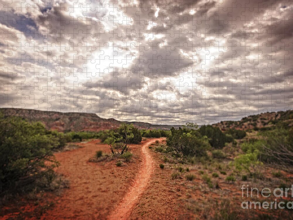 Art Jigsaw Puzzle featuring the photograph Path to Glory by Charles Dobbs
