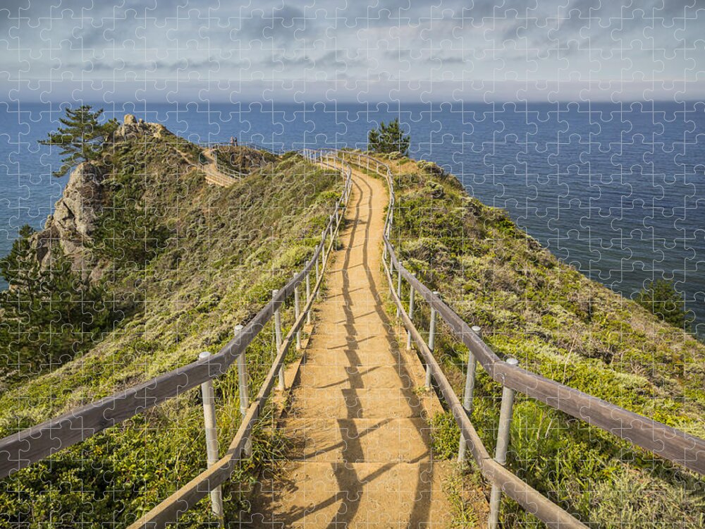 3scape Jigsaw Puzzle featuring the photograph Path to Muir Beach Overlook by Adam Romanowicz