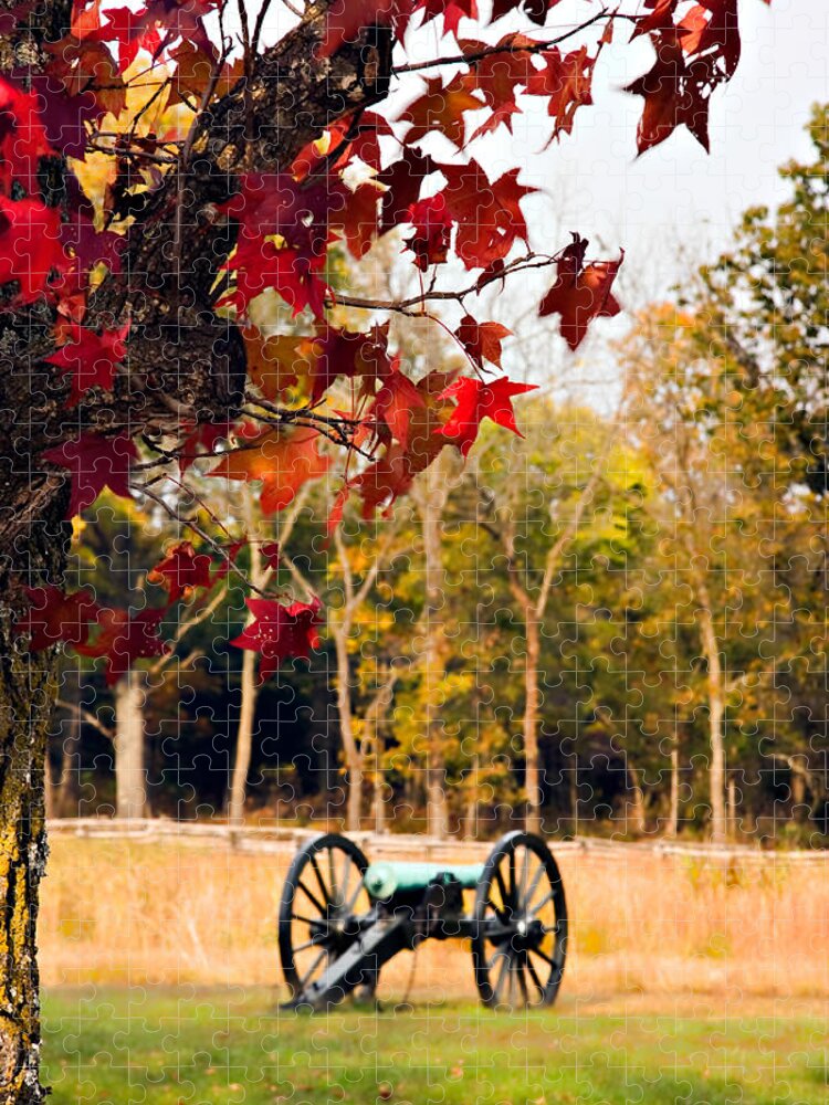 Autumn Jigsaw Puzzle featuring the photograph Pea Ridge Military Park by Lana Trussell
