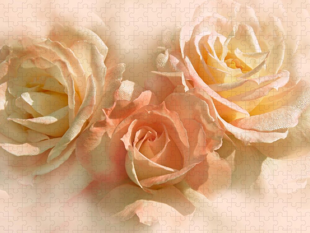 Rose Jigsaw Puzzle featuring the photograph Peach Roses in the Mist by Jennie Marie Schell