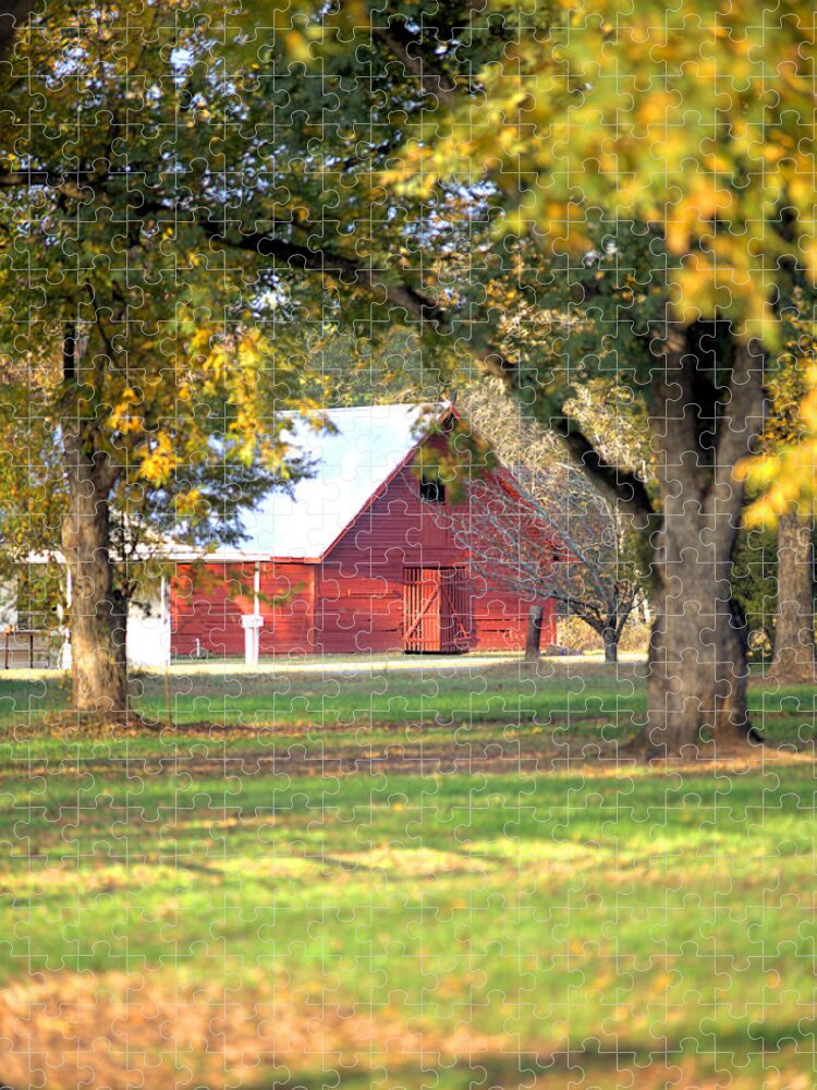 3286 Jigsaw Puzzle featuring the photograph Pecan Orchard Barn by Gordon Elwell