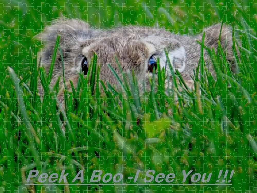 Rabbits Jigsaw Puzzle featuring the photograph Peek A Boo I See You by Ernest Echols