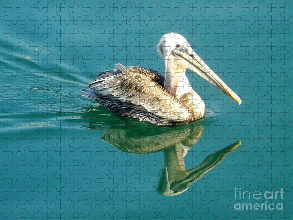 Pelican Jigsaw Puzzle featuring the photograph Pelican in San Francisco Bay by Clare Bevan