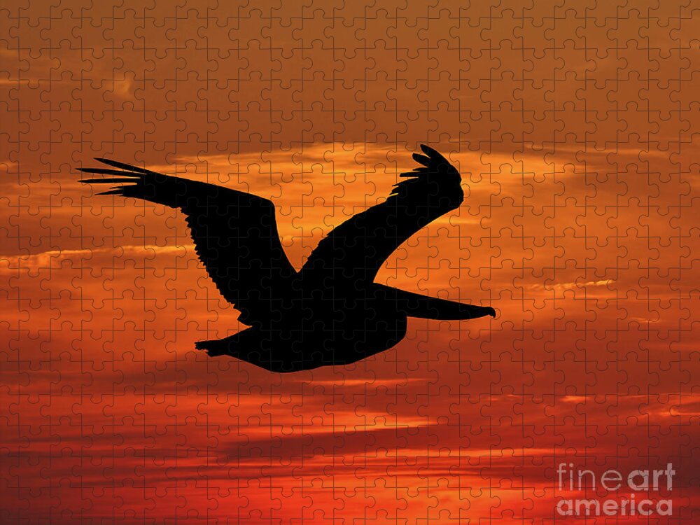 Pelican Silhouette Jigsaw Puzzle featuring the photograph Pelican Profile by Al Powell Photography USA