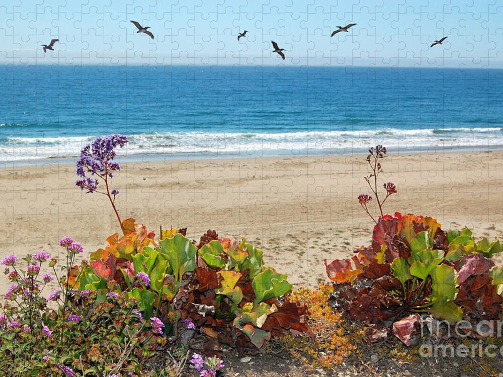Pismo Beach Jigsaw Puzzle featuring the photograph Pelicans And Flowers on Pismo Beach by Debra Thompson