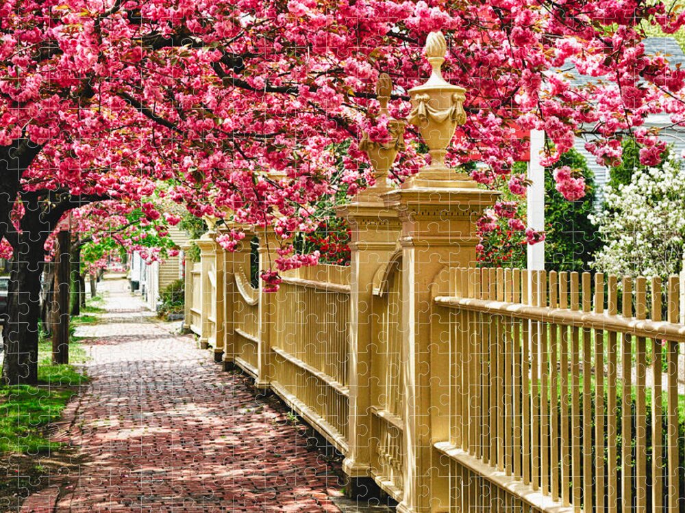 Salem Jigsaw Puzzle featuring the photograph Perfect time for a spring walk by Jeff Folger