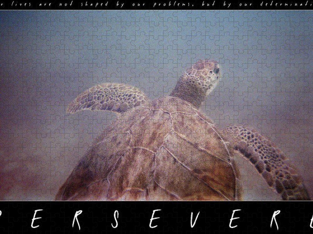 Turtle Jigsaw Puzzle featuring the photograph Persevere II by Weston Westmoreland