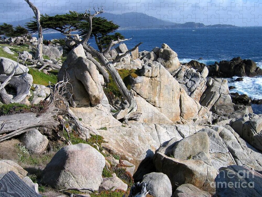 Pebble Beach Jigsaw Puzzle featuring the photograph Pescadero Point by James B Toy