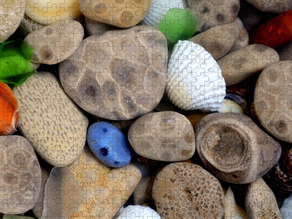 Square Jigsaw Puzzle featuring the photograph Petoskey Stones V by Michelle Calkins