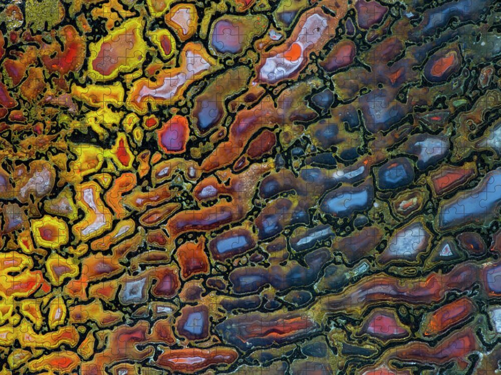 Mineral Jigsaw Puzzle featuring the photograph Petrified Dinosaur Bone Close Up by Darrell Gulin