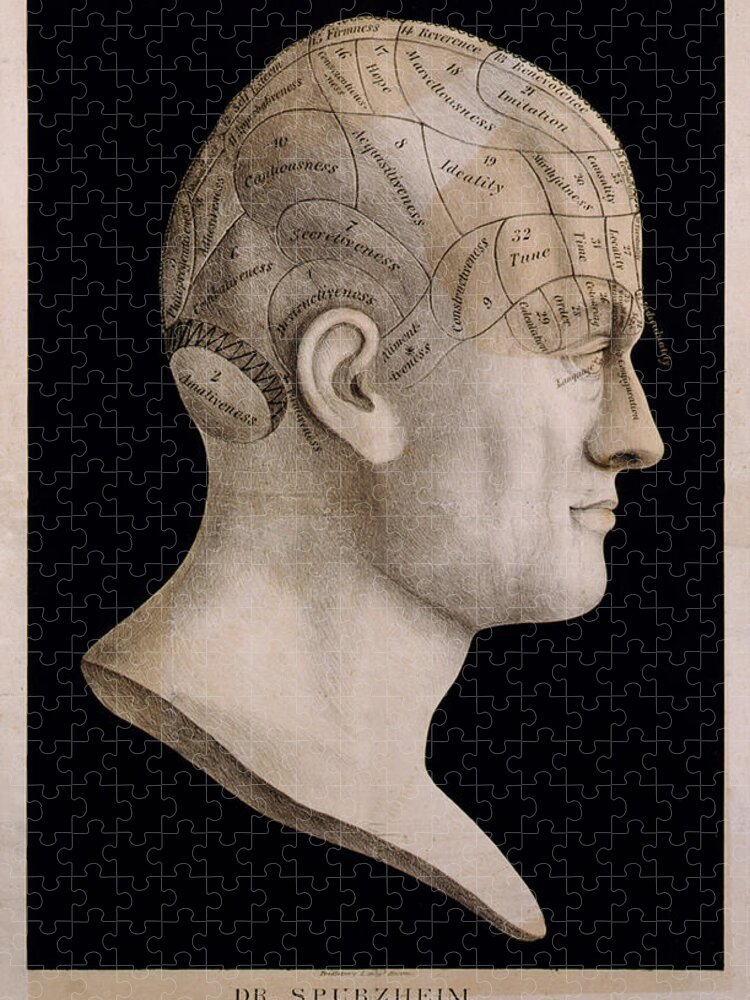Abstract Jigsaw Puzzle featuring the digital art Phrenology by Georgia Clare