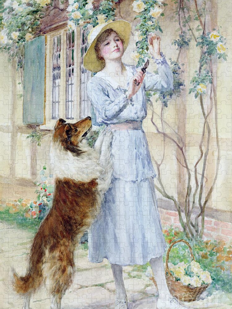 Rose Jigsaw Puzzle featuring the painting Picking Roses by William Henry Margetson