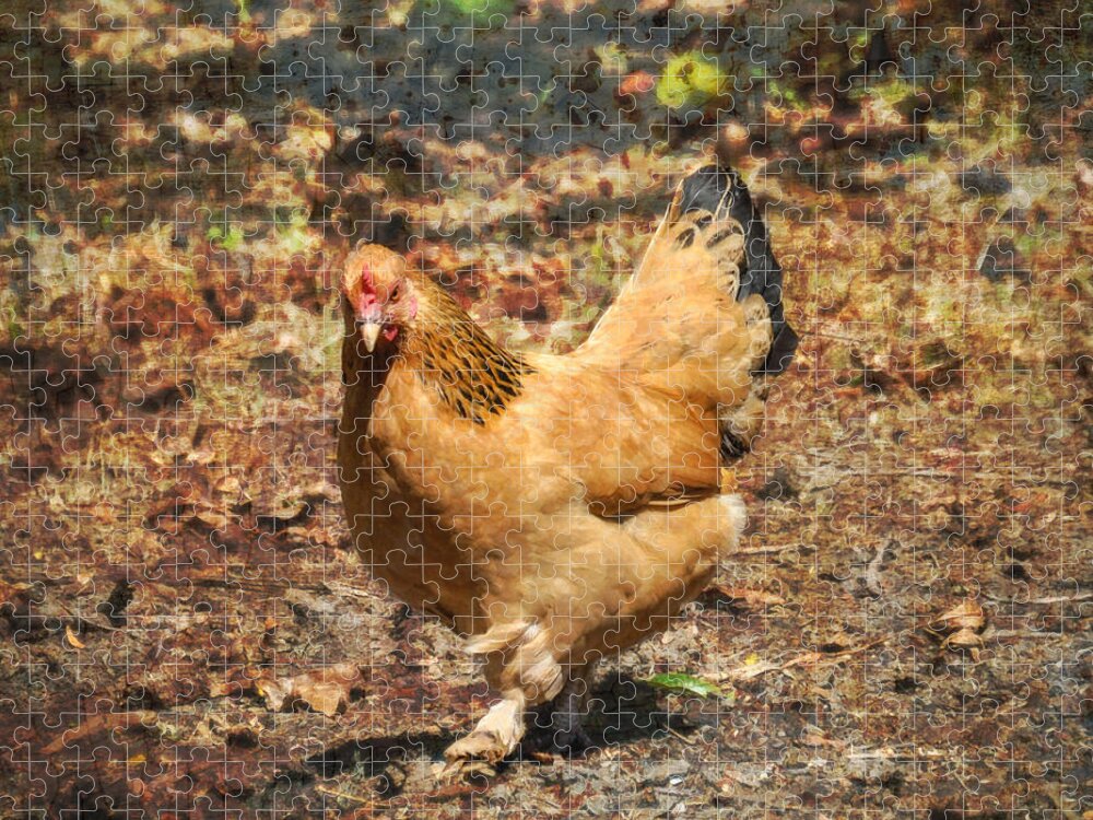 Chicken Jigsaw Puzzle featuring the photograph Pickles by Cheryl McClure