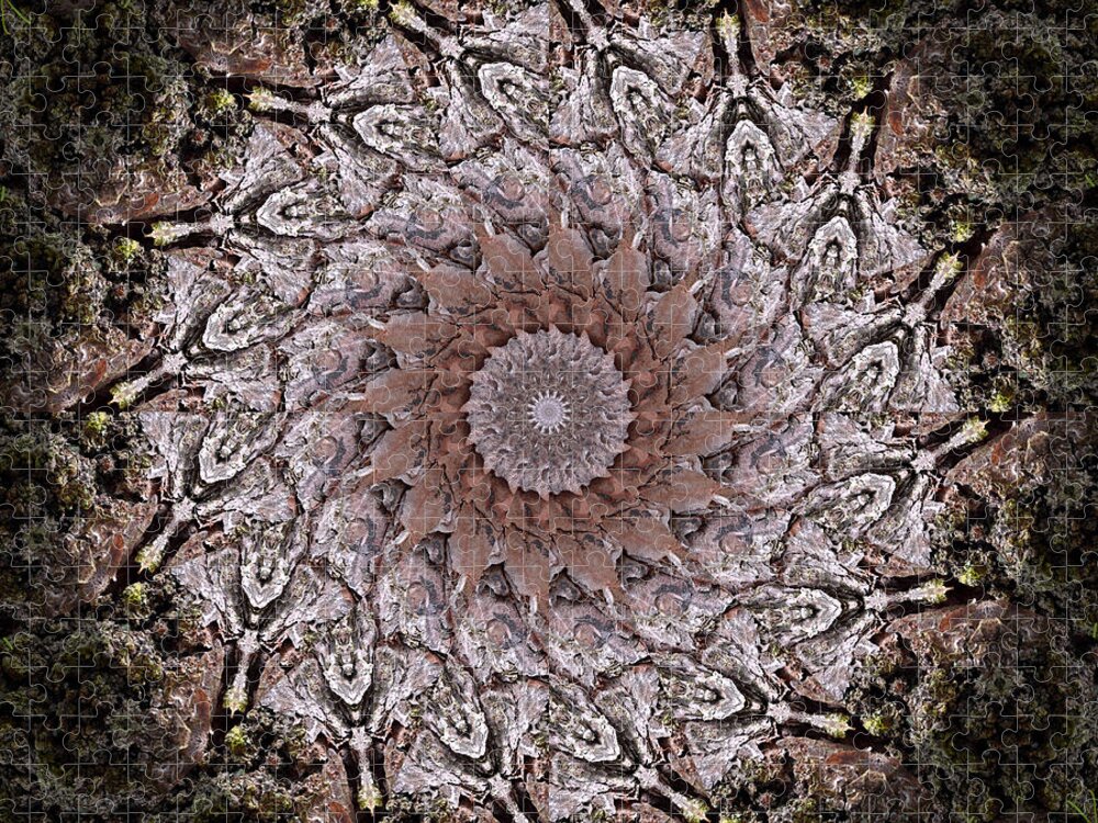 Pine Tree Jigsaw Puzzle featuring the photograph Pine Bark Mandala #1 by Beth Venner