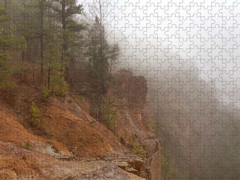 Arkansas Jigsaw Puzzle featuring the photograph Pines in the Mist - Emerald Park - Arkansas by Jason Politte
