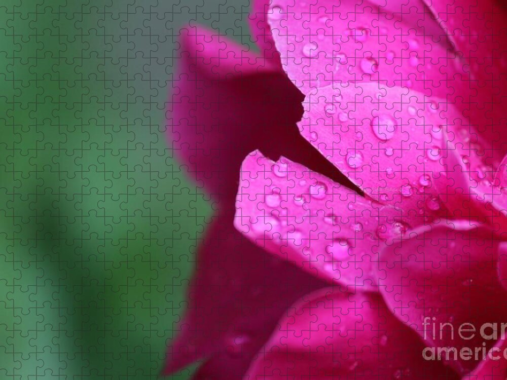 Pink Jigsaw Puzzle featuring the photograph Pink Peony by Ann E Robson