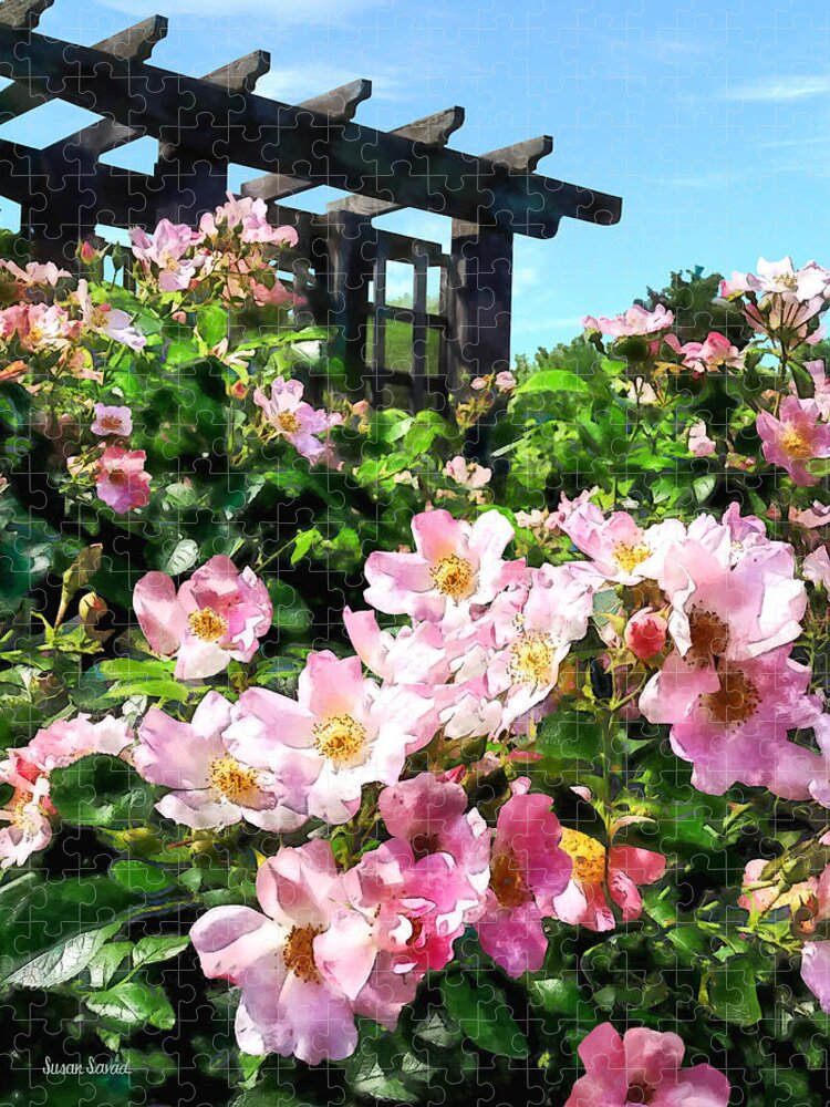 Rose Jigsaw Puzzle featuring the photograph Pink Roses Near Trellis by Susan Savad