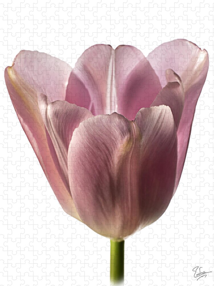 Flower Jigsaw Puzzle featuring the photograph Pink Tulip 2 by Endre Balogh