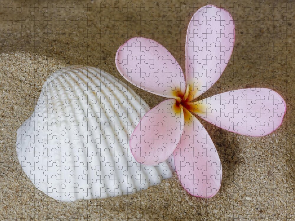 Plumeria Jigsaw Puzzle featuring the photograph Plumeria Flower And Sea Shell by Susan Candelario