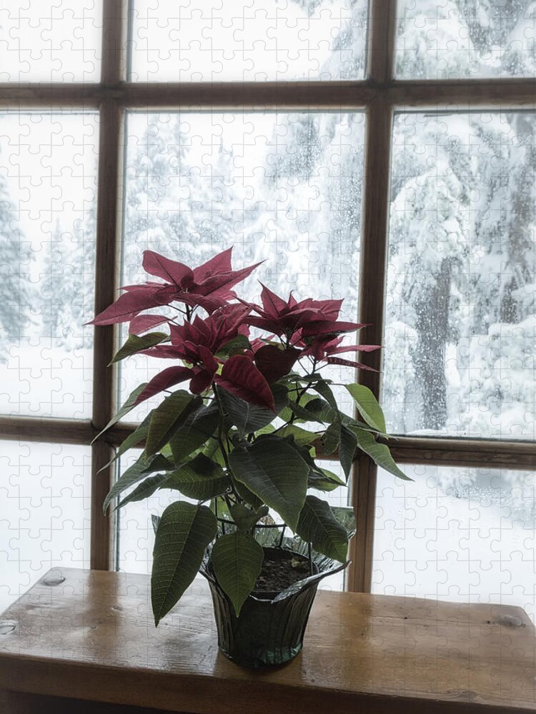 Poinsettia Jigsaw Puzzle featuring the photograph Poinsettia at Timberline Lodge by Belinda Greb