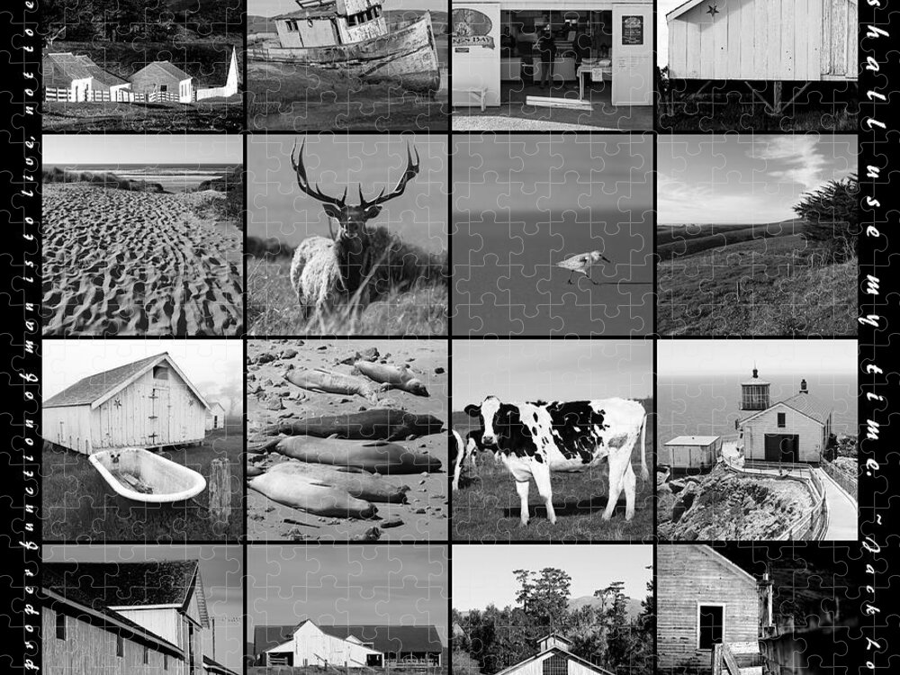 Pt Reyes Jigsaw Puzzle featuring the photograph Point Reyes National Seashore 20150102 with text bw by Wingsdomain Art and Photography