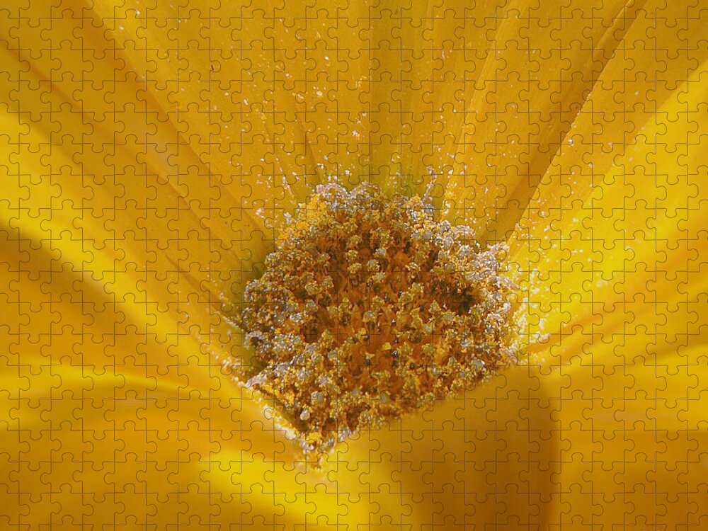 Pollen Jigsaw Puzzle featuring the photograph Pollen Sunset by Barbara St Jean
