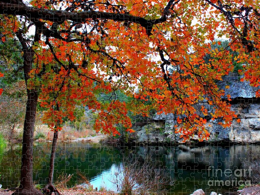 Pond Jigsaw Puzzle featuring the photograph Fall at Lost Maples State Natural Area by Michael Tidwell