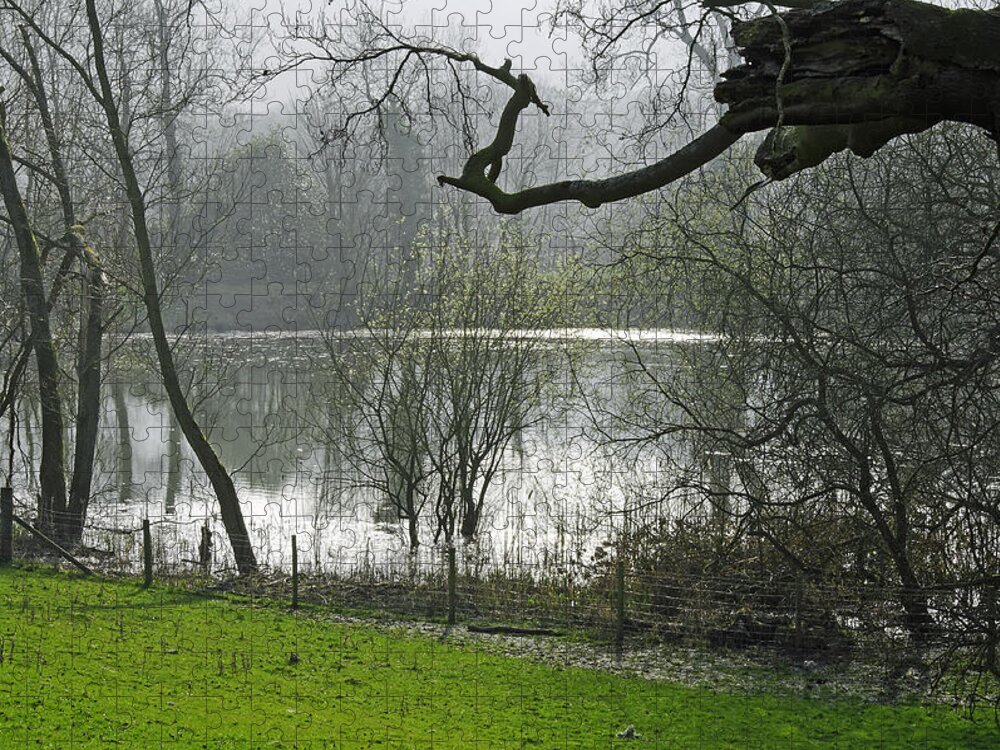 Bright Jigsaw Puzzle featuring the photograph Pond near Home Farm - Ilam by Rod Johnson
