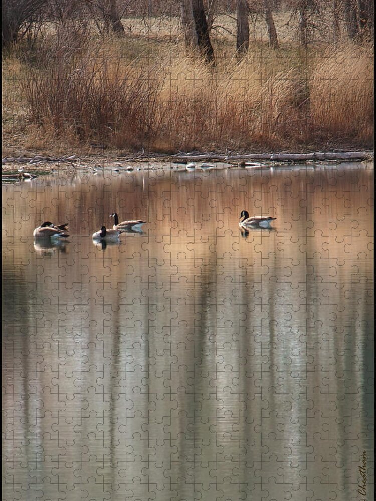 Landscape Jigsaw Puzzle featuring the photograph Pond Reflections by Kae Cheatham
