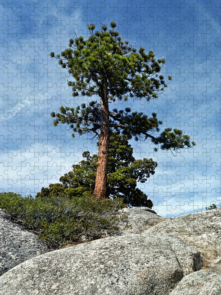 Beauty In Nature Jigsaw Puzzle featuring the photograph Ponderosa Pine and Granite Boulders by Jeff Goulden