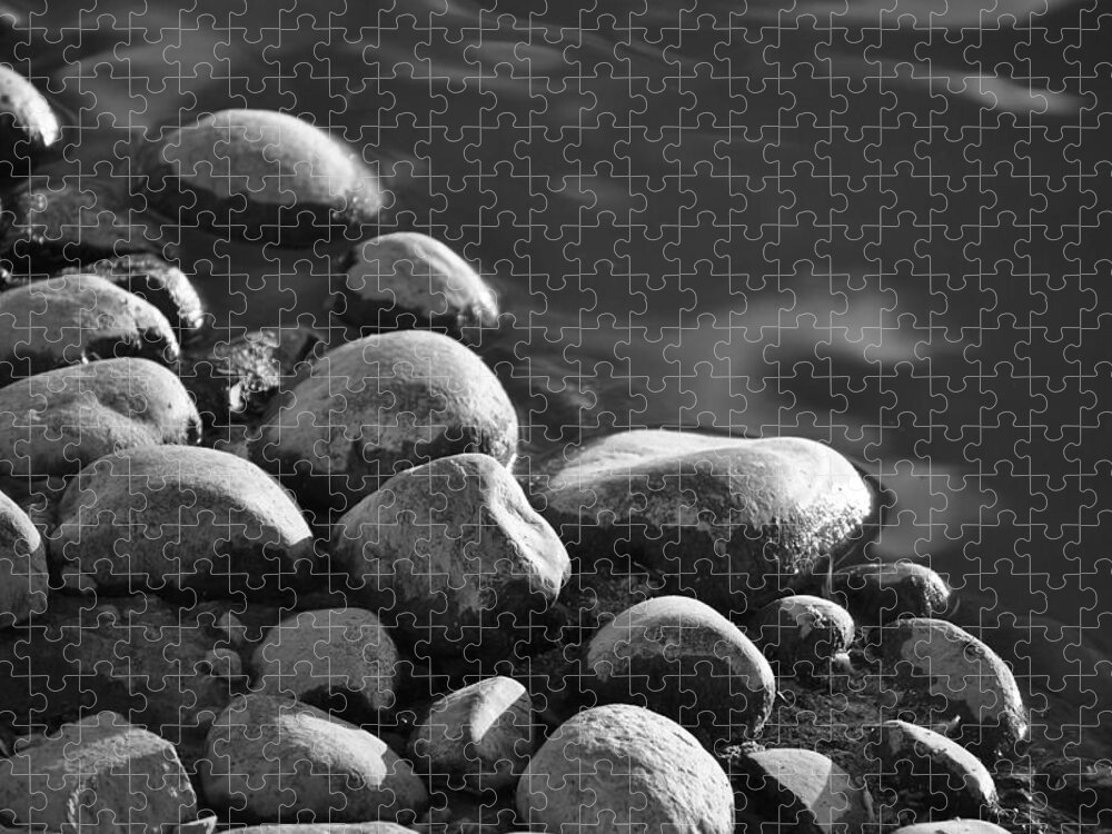Black And White Jigsaw Puzzle featuring the photograph Pond's Edge 2 by JustJeffAz Photography