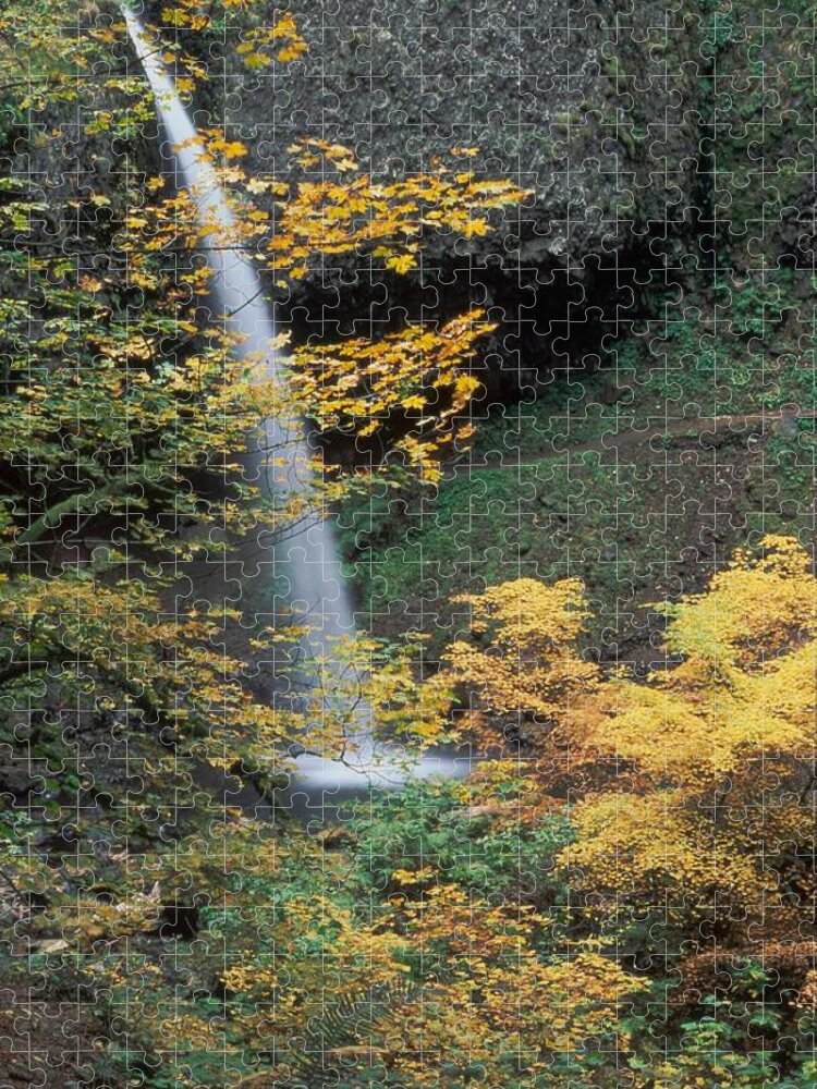 Ponytail Jigsaw Puzzle featuring the photograph Ponytail Falls by Ken Dietz