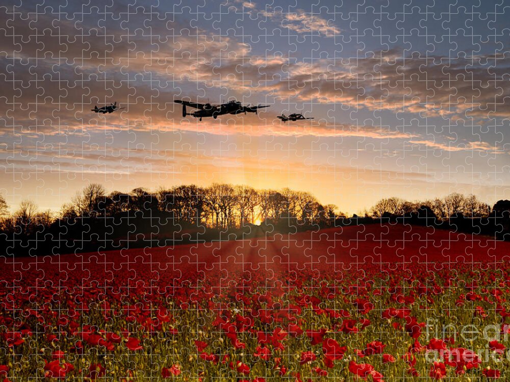 Avro Jigsaw Puzzle featuring the digital art Poppy Field Pass by Airpower Art